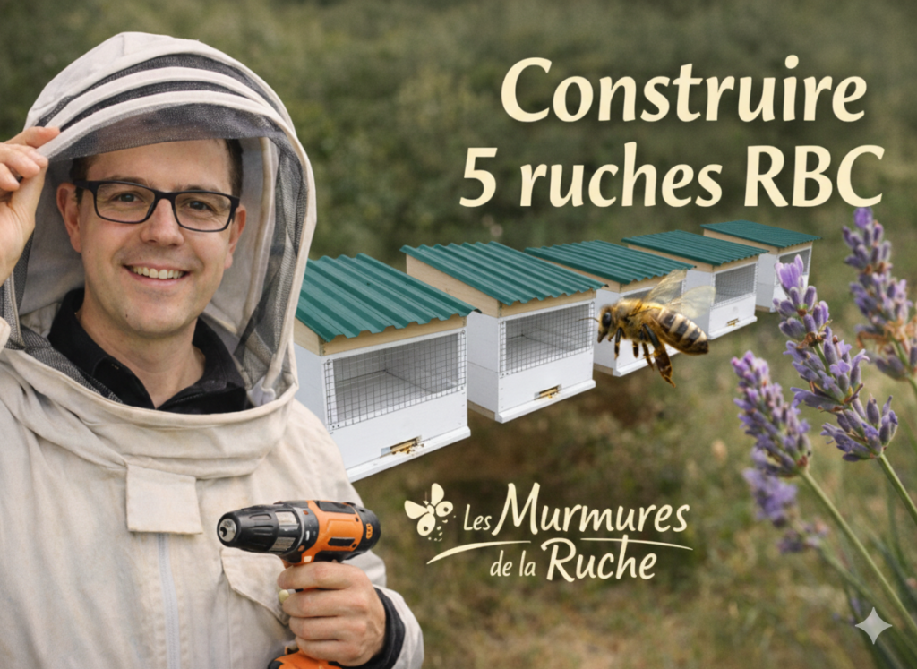 Miniature vidéo 2 sur ruche RBC