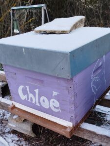 Ruche dadant violette