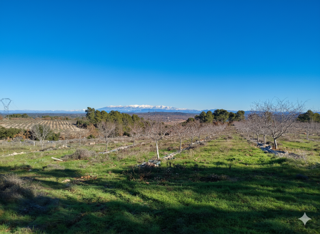 rucher de rians rucher de rians