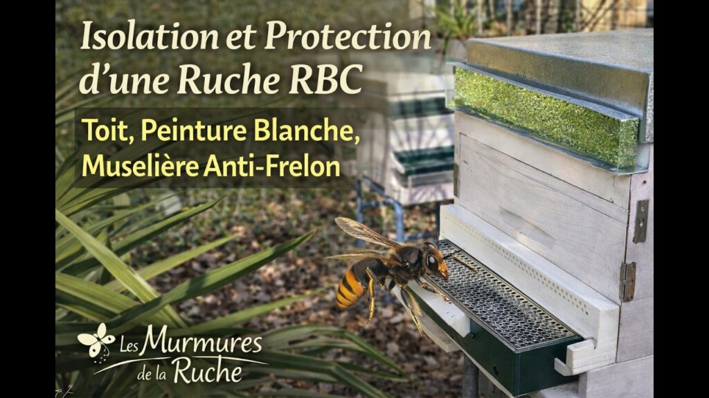 Miniature de la vidéo sur la construction de la ruche RBC